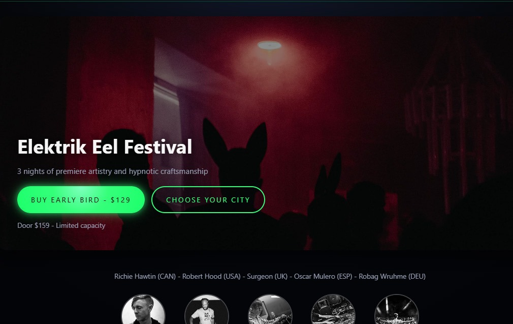 Elektrik Eel Festival website concept featuring a dark red concert scene